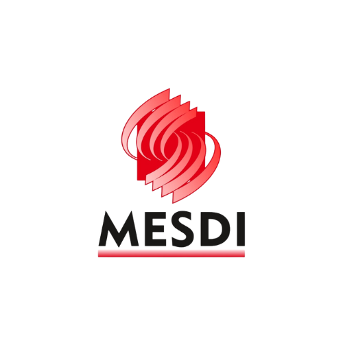 mesdi logo